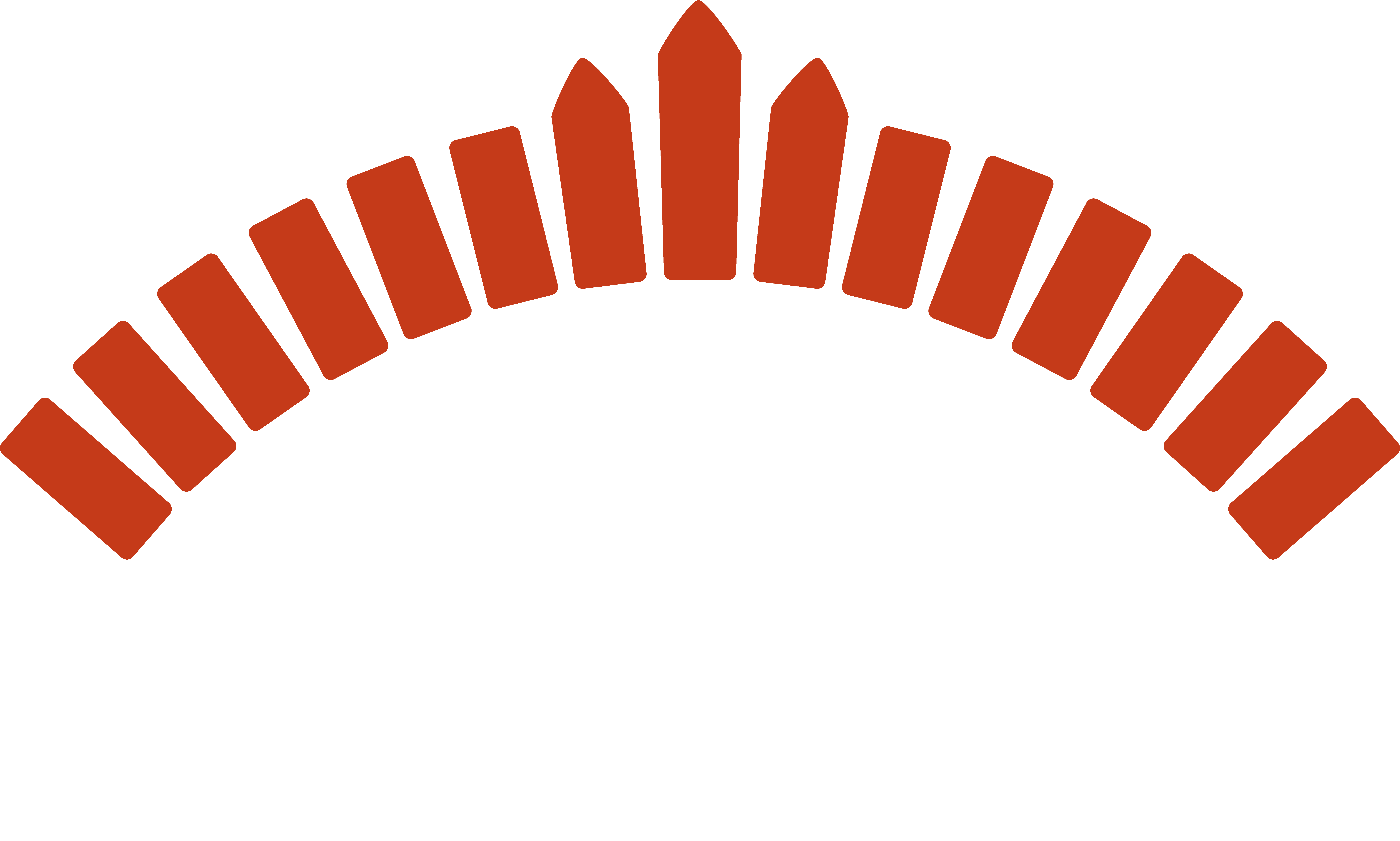 færdiglogohvidskrift