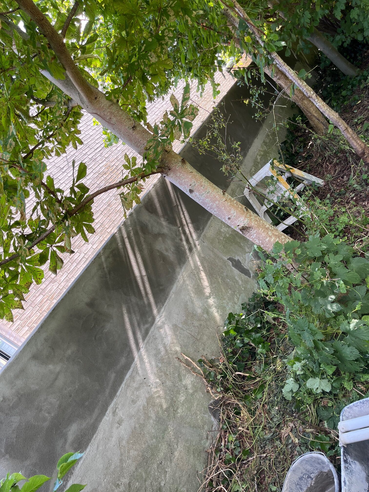 Murermester Malika Jaeger img 2680